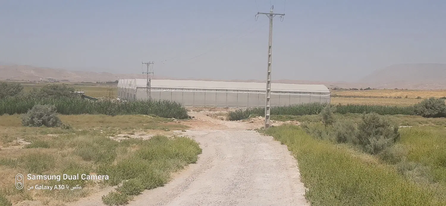 گلخانه هیدروپونیک