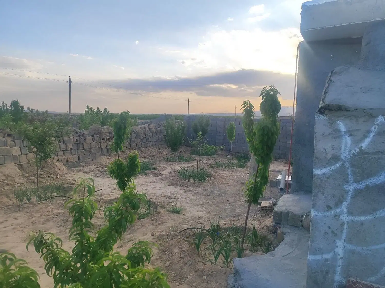 باغ ۱۲۰۰ متر بر خیابان اصلی