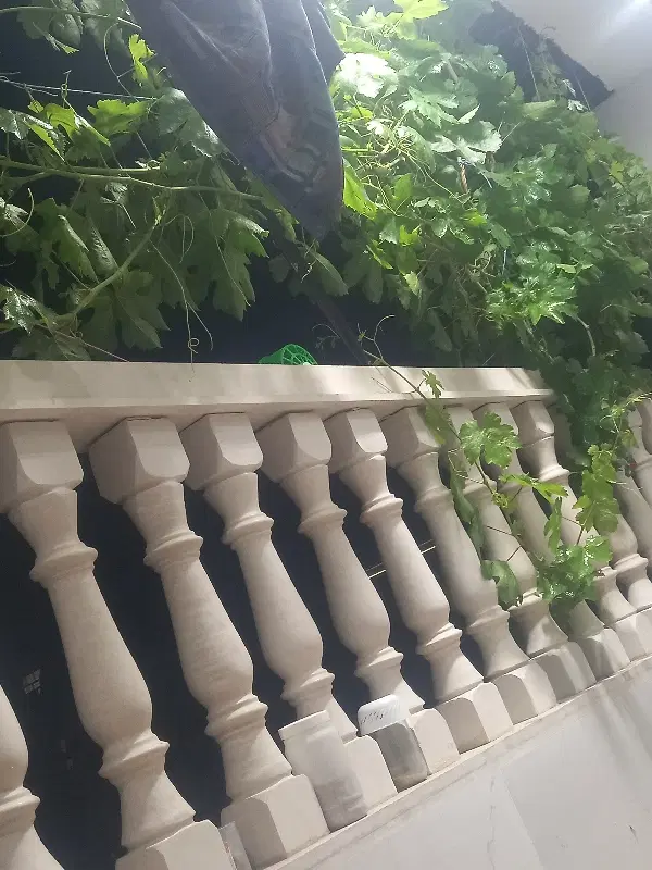 خانه ویلایی ۶۰متری