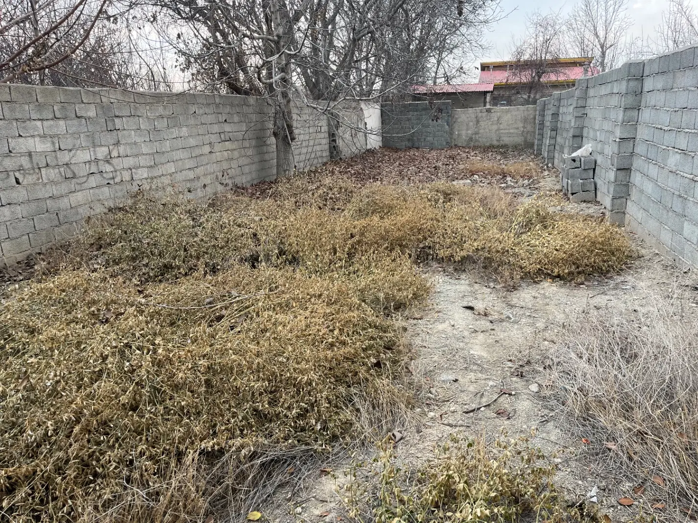 سنقر اباد بحر خیایان اصلی