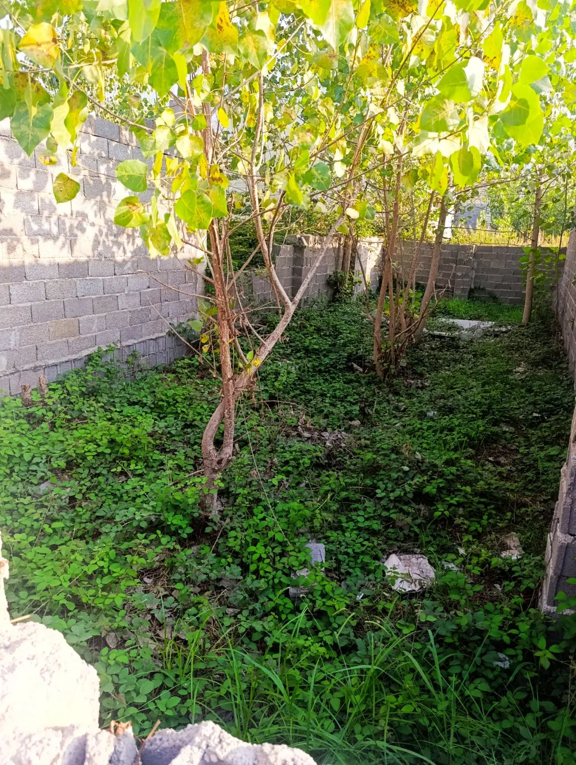 زمین مسکونی قابل ساخت باغ بهشت محله دخانیات