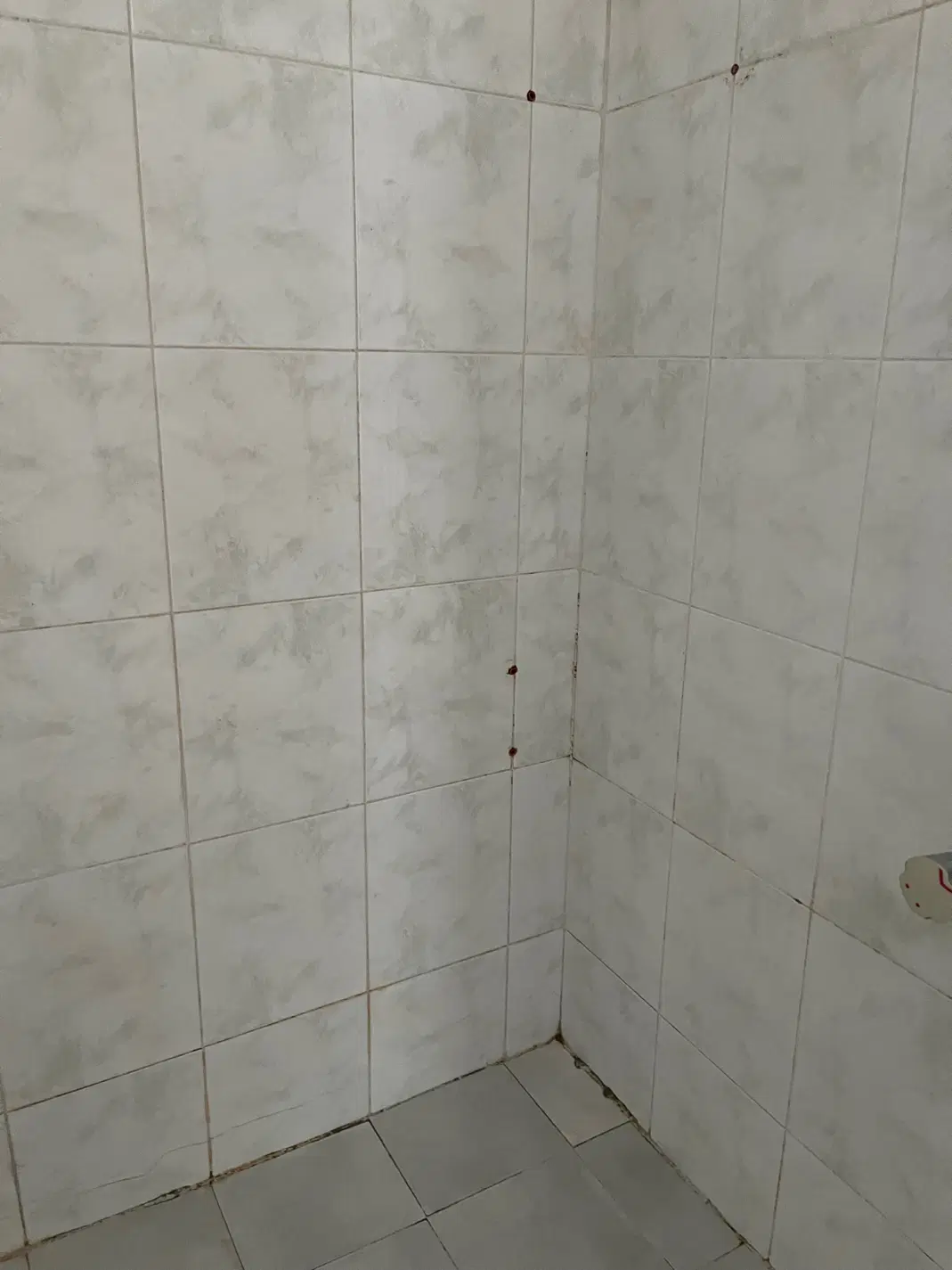 بهارستان اجاره طبقه همکف فازیک