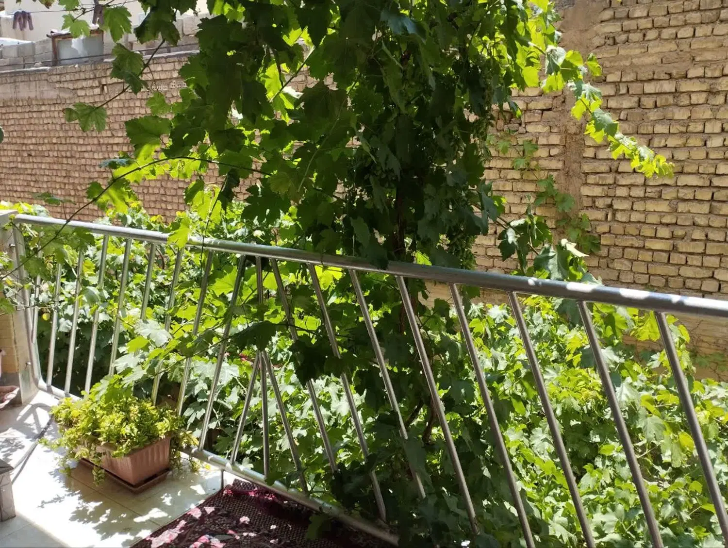 رهن کامل آپارتمان دو خوابه