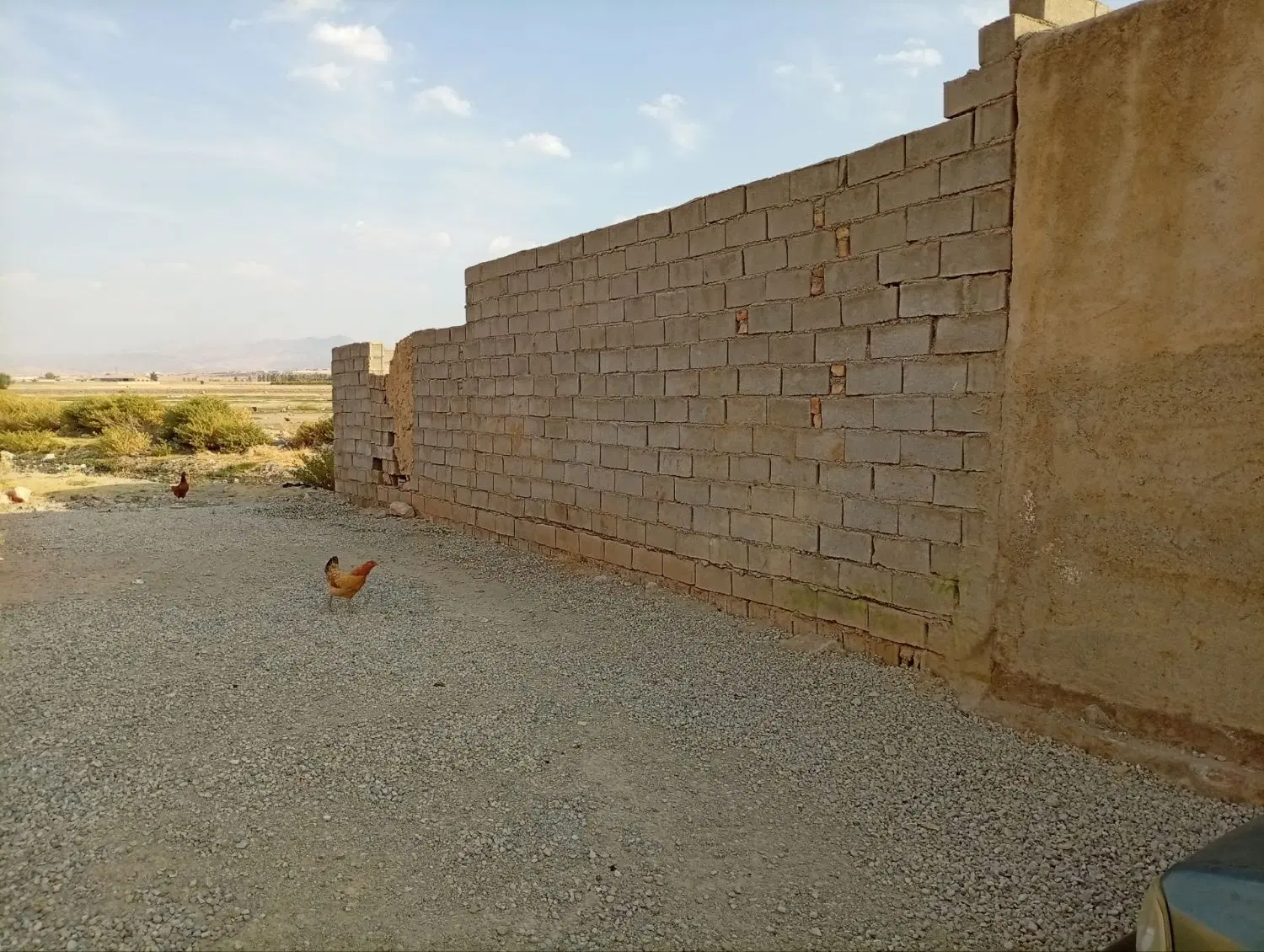 زمین