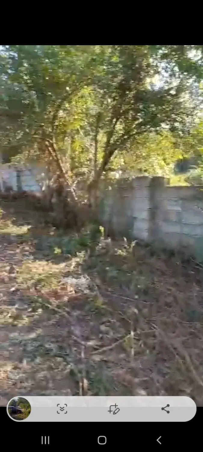 ۱۵۰۰ متر زمین در روستای علویکلا قابل ساخت