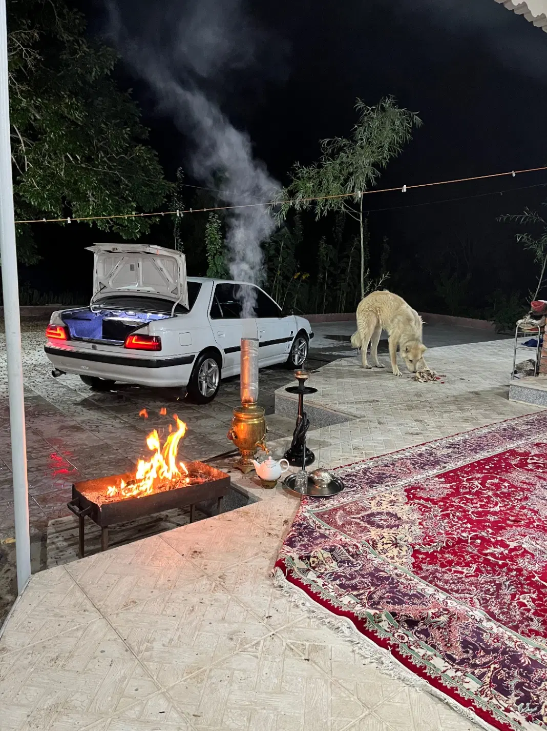 فروش باغ ۴۰۰۰ متری در گوگان
