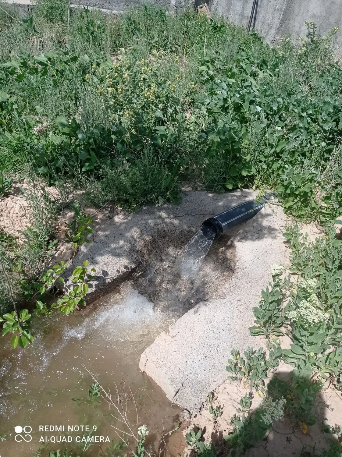 باغ زاک