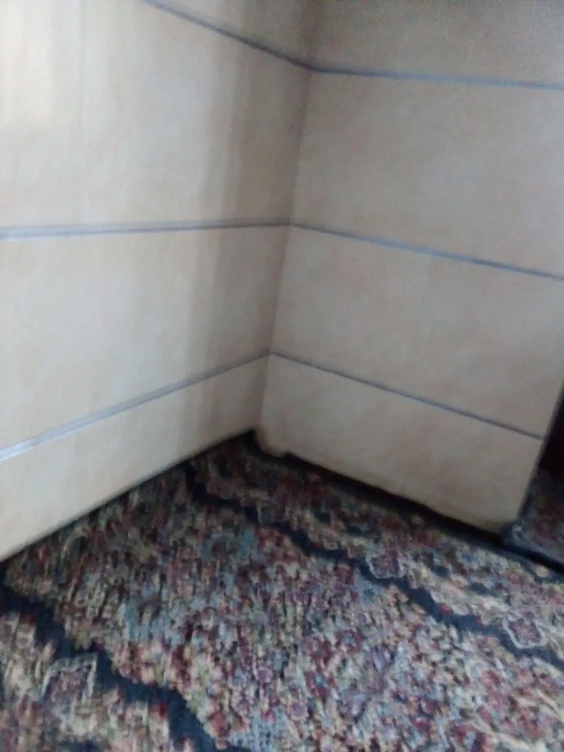 خونه سرباغ