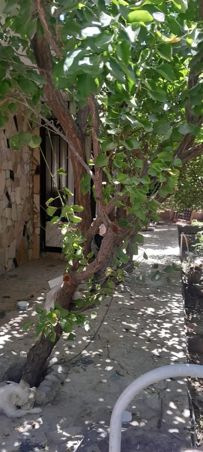 اجاره‌ کوتاه مدت باغ ویلا