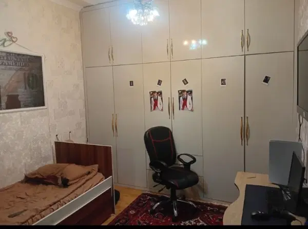 حیاط شمالی در گلباران فجر عروسک