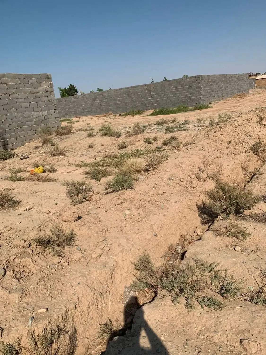 ملک باغچه
