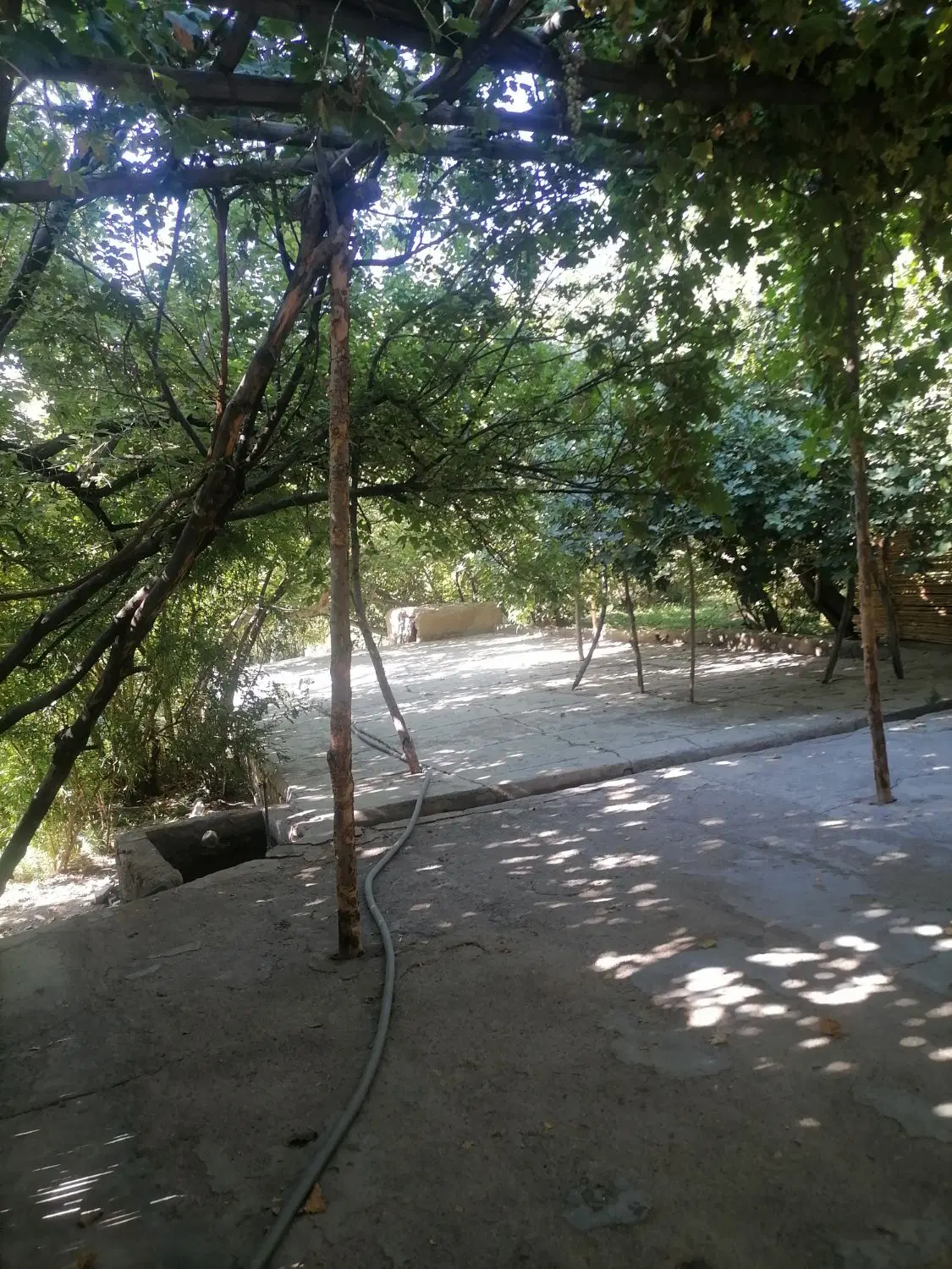 اجاره روزانه ویلا باغ با آب روان سیرچ