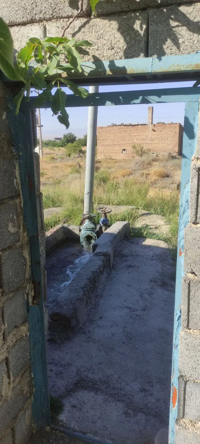 باغ در شبستر