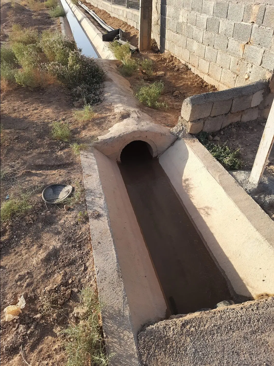 باغ