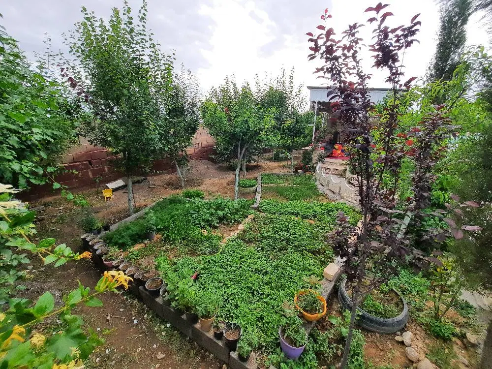 باغ اماده اسب زین شده