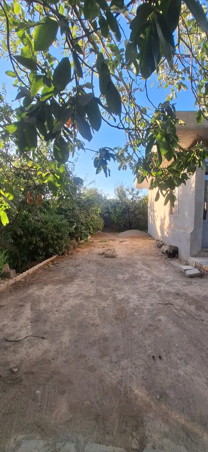 ۹۰۰ متر باغ با درختان مثمر