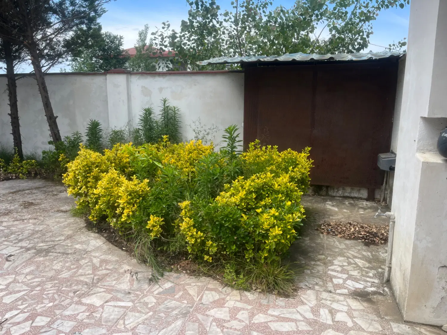 رهن سالانه ویلا چهار خوابه