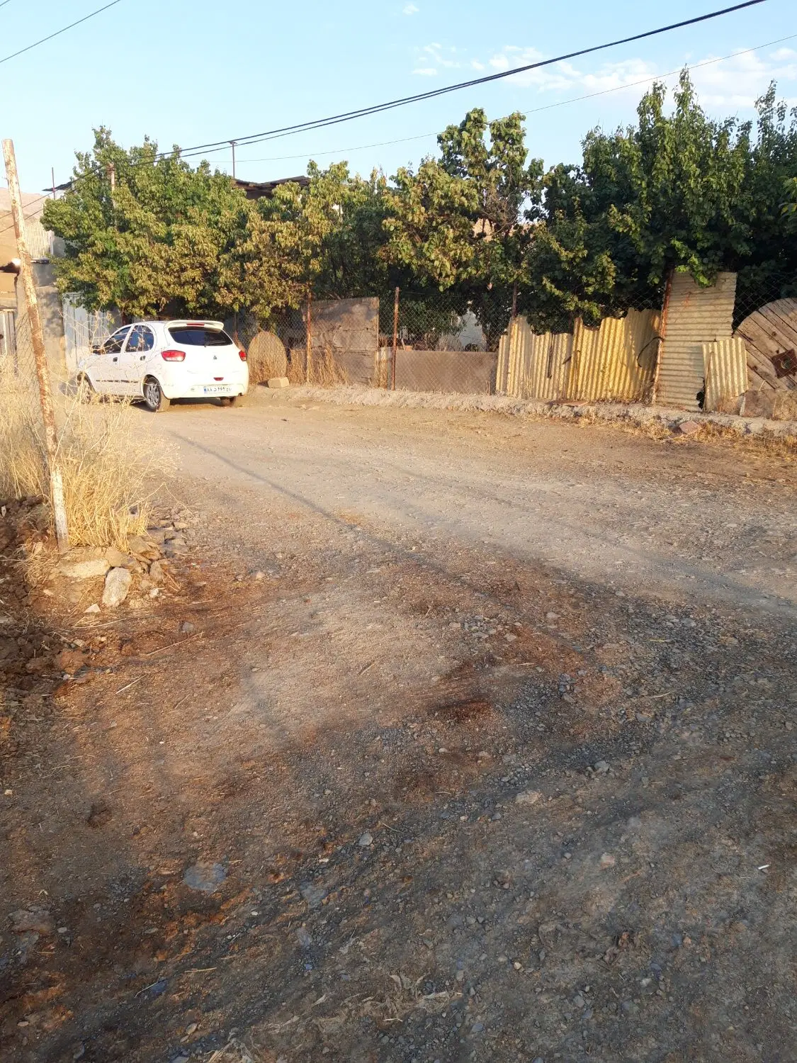 زمین باغ سرنجیانه
