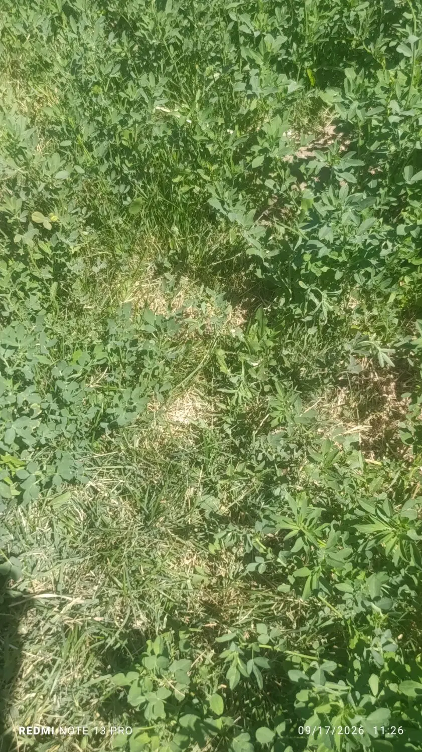 زمین مسکونی بر اصلی حبیب آباد