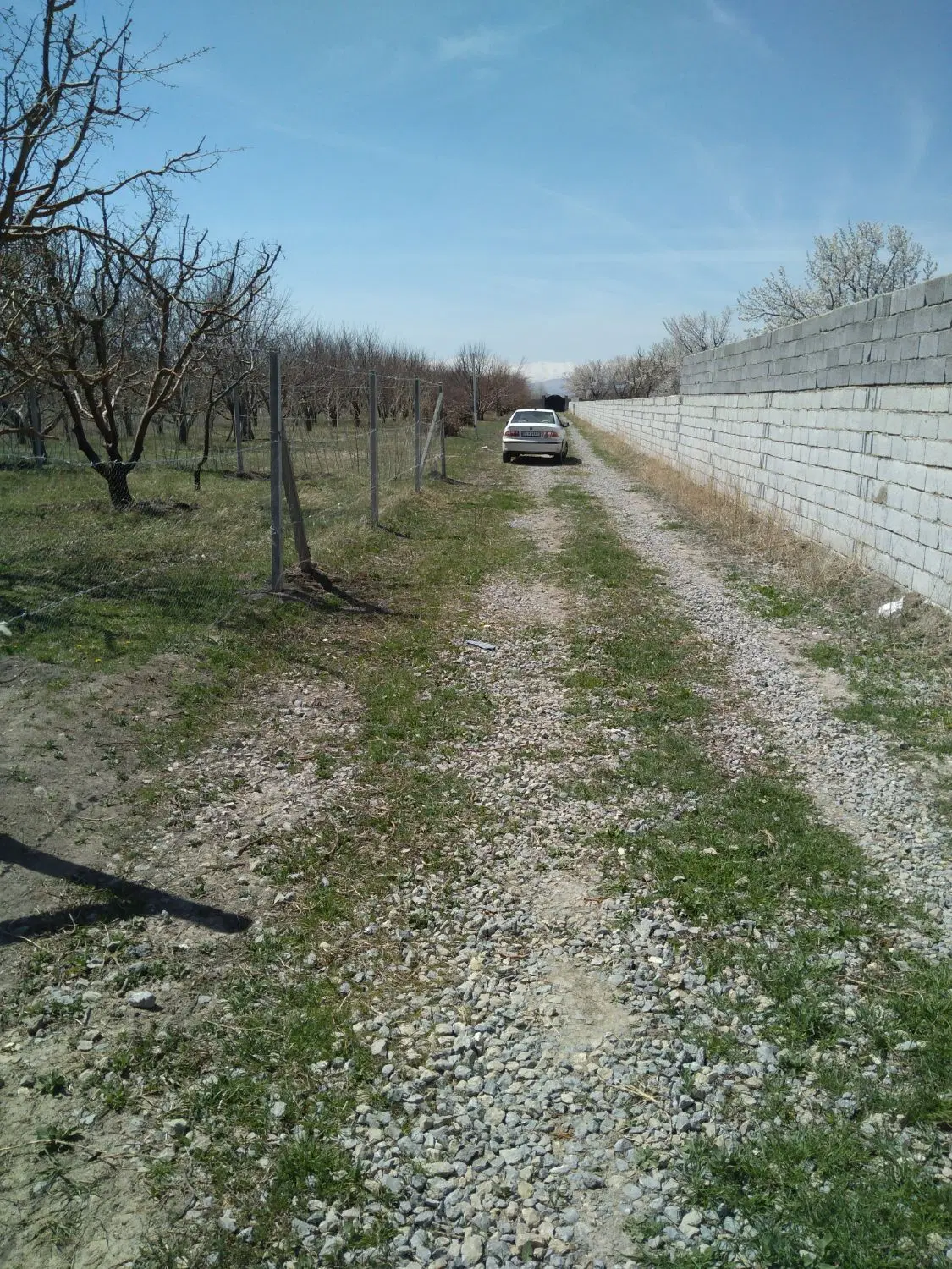 باغچه اردوشاهی کوی الهیه