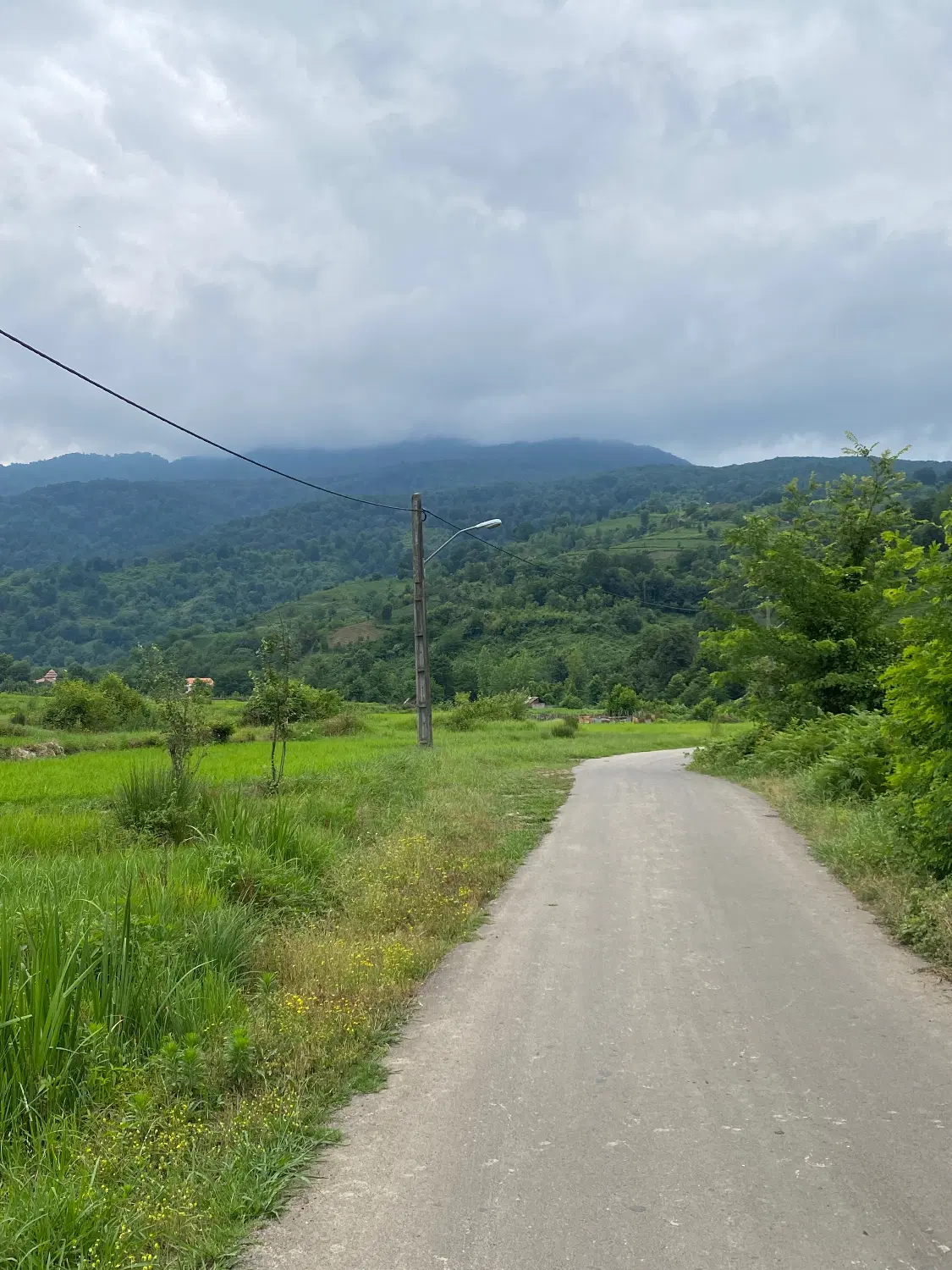 ۲۲۰ متر زمین خارج طرح بر اصلی آسفالت_ روستای چوشل