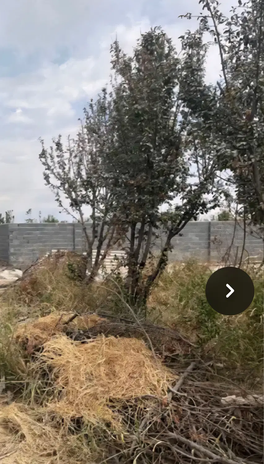 یوسف رضا چهار دیواری انشاب کامل شهرکی
