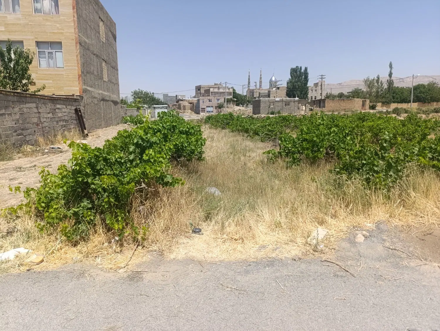 فروش زمین باغ مسکونی