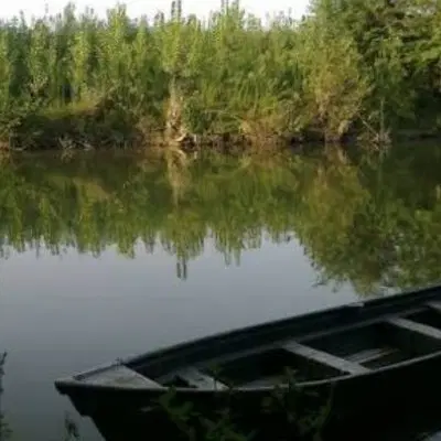 زمین ۴۰۰ متر نوخاله