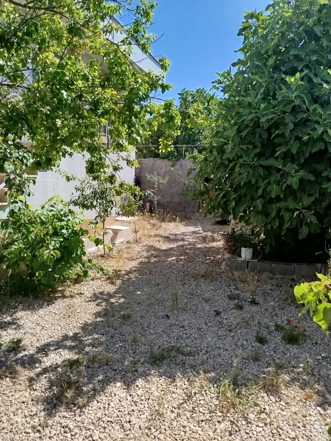 زمین تجاری مسکونی