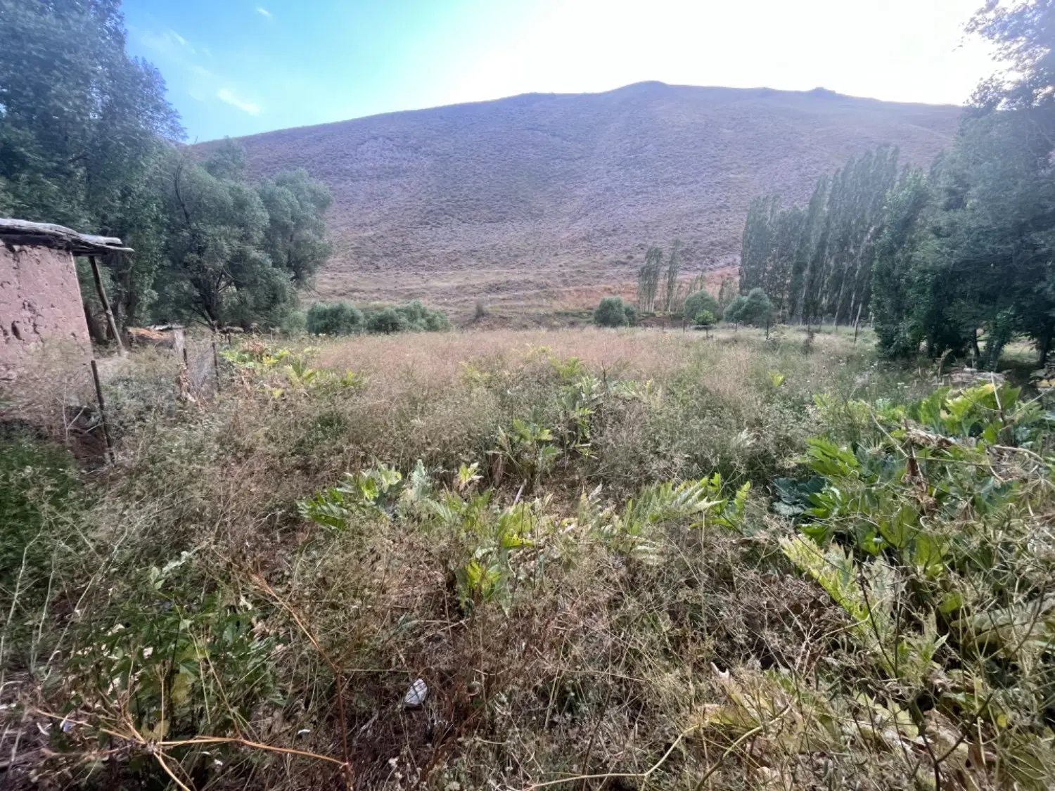 زمین مسکونی
