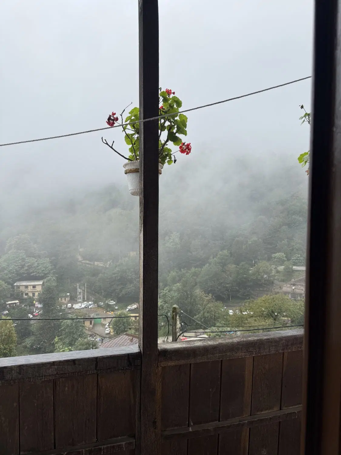 نیازمند همخونه