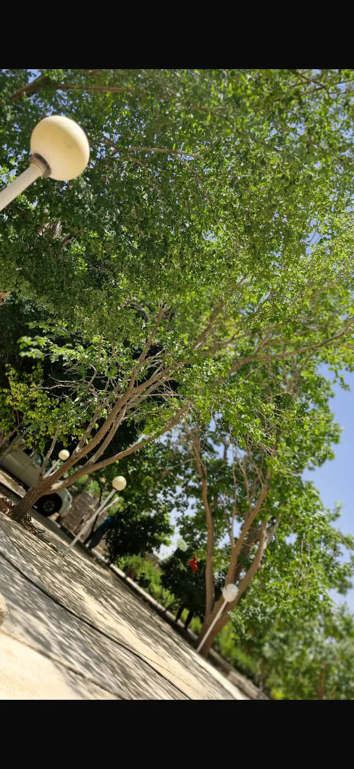 فروش باغچه رضوان دوکوهک