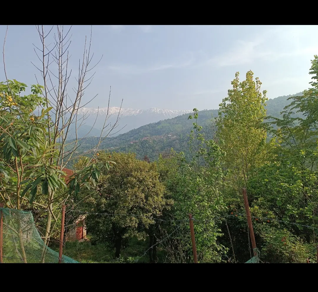 زمین کاربری مسکونی