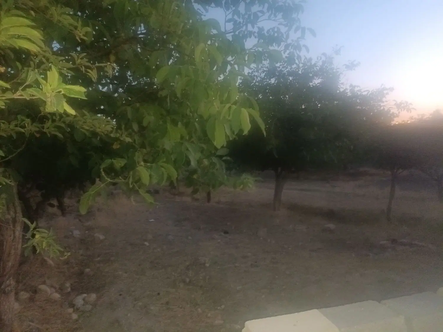 ۵۰۰ متر باغ سعید اباد