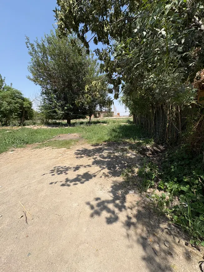 زمین باغچه گلحصار شهر ری
