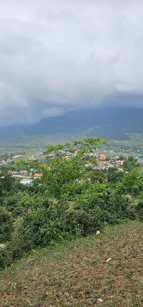 فروش زمین در اتوبان ساری نکا نرسیده به سورک