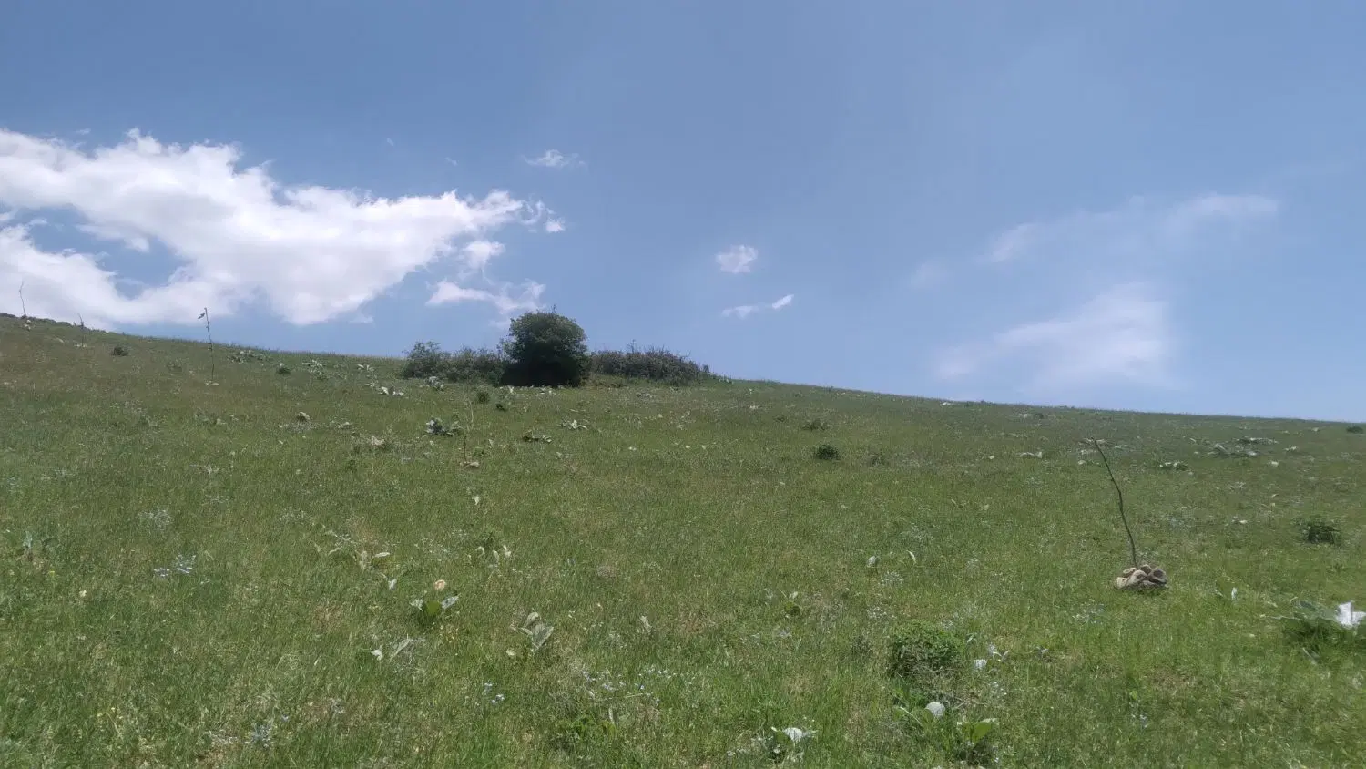دیلمان روستای عاشورآباد ۶۰۰۰ متر زمین کشاورزی