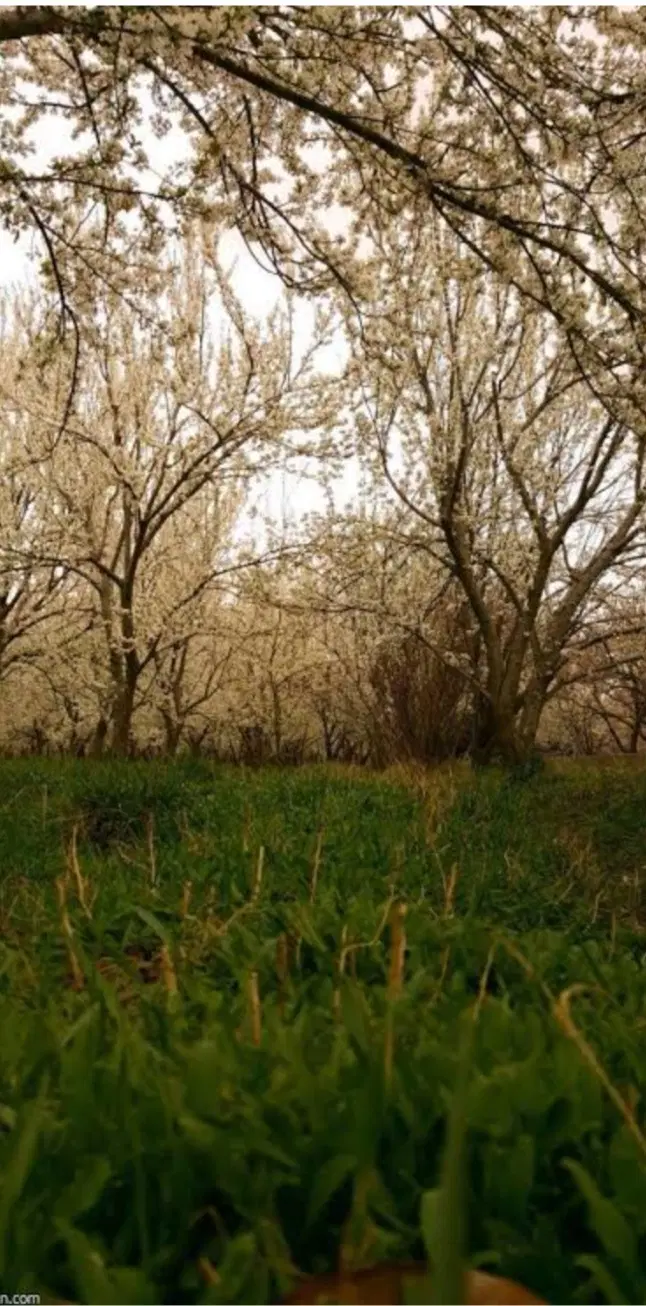 زمین فروشی