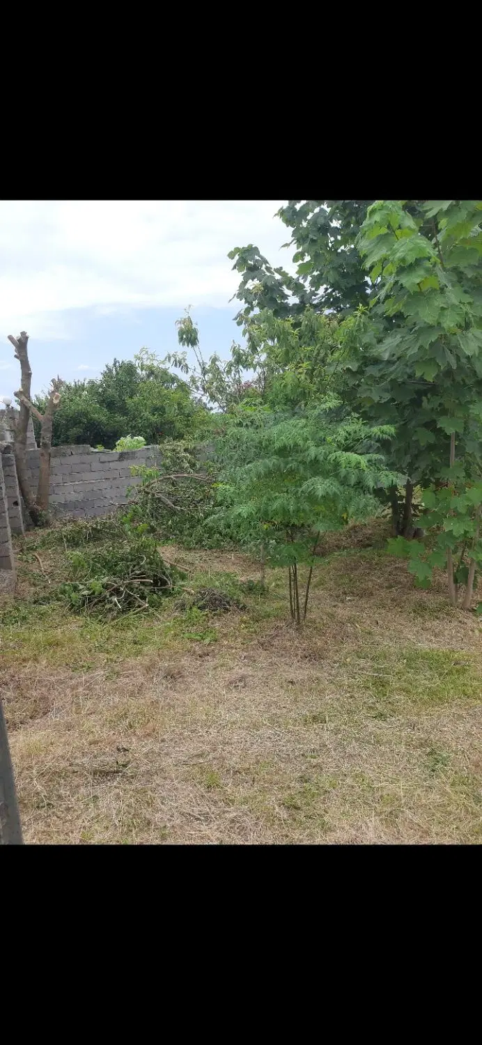 زمین ویلایی