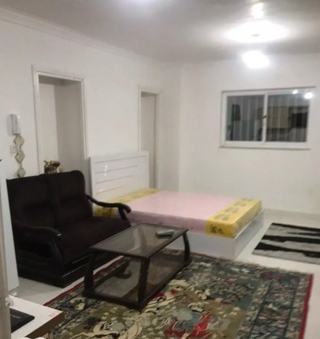 سویت ۴۵ متری با ۳۰ متر تراس