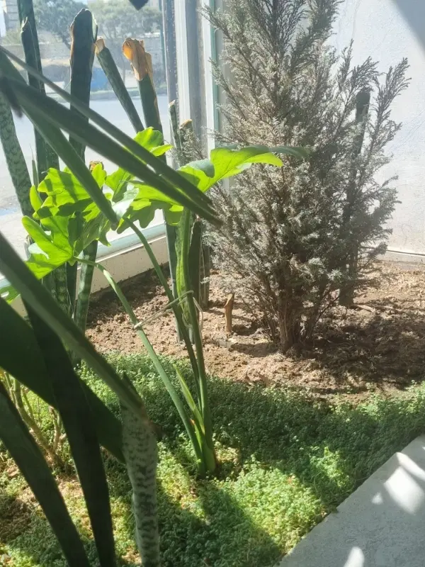 ۸۴ متر شهرک بهشتی پیش فروش