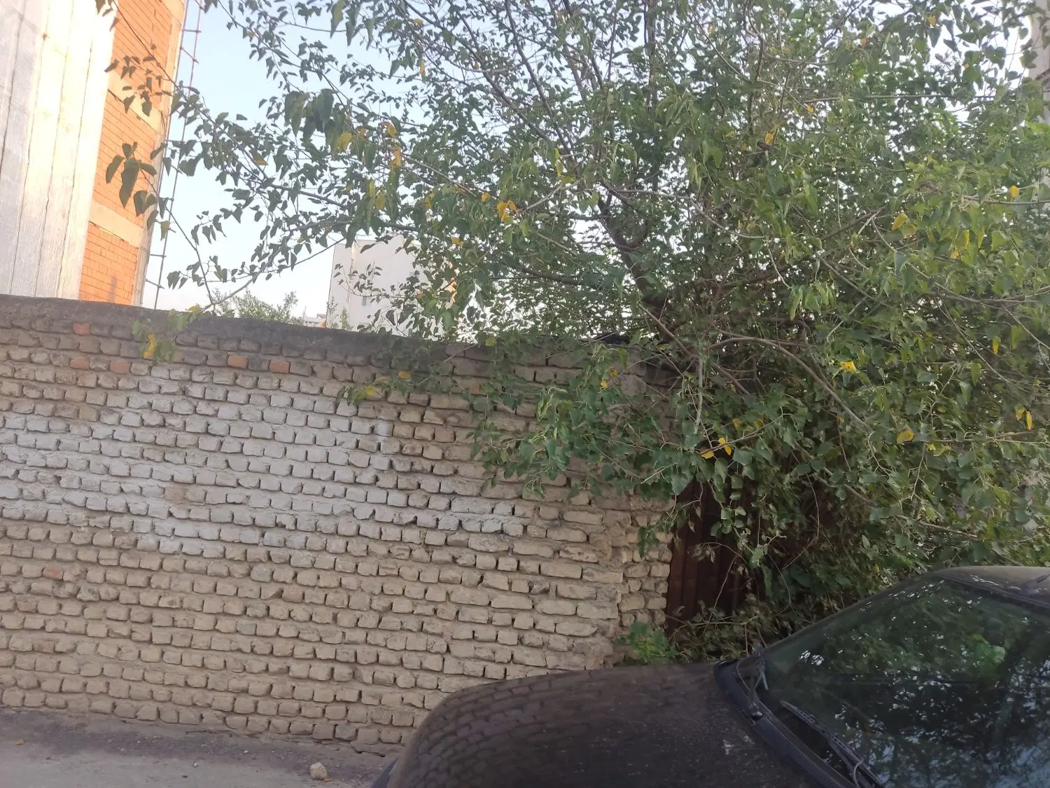 فروش ۶۶۴ متر زمین در شهر قرقری
