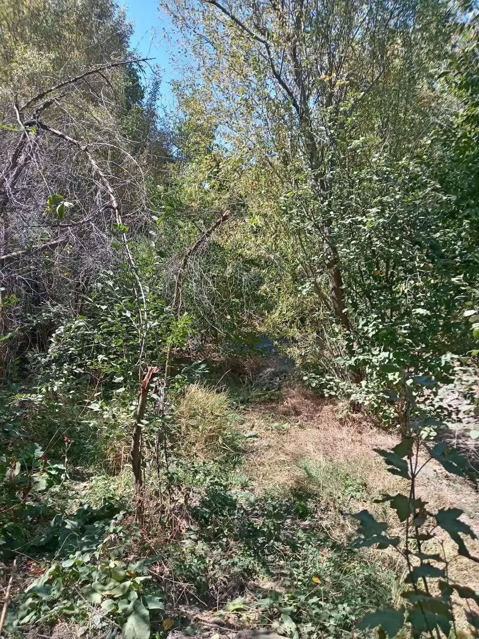 باغ کشاورزی در روستا انتهای جاده خلج