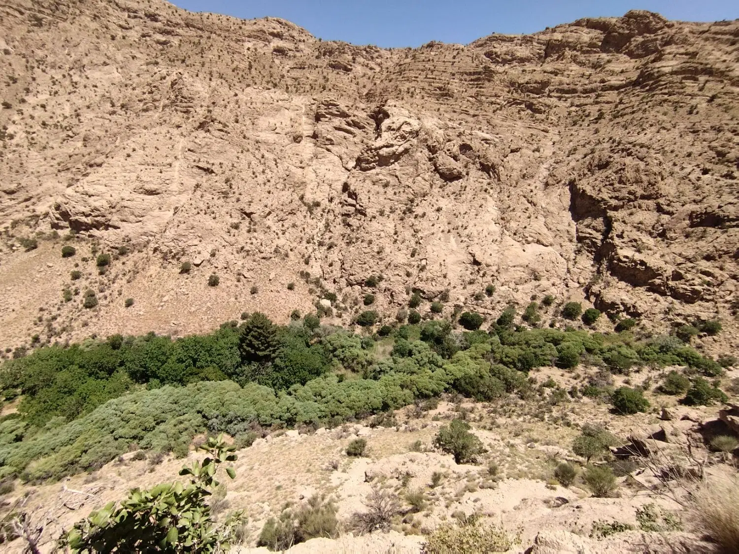 زمین مسکونی خوسف موقعیت 20