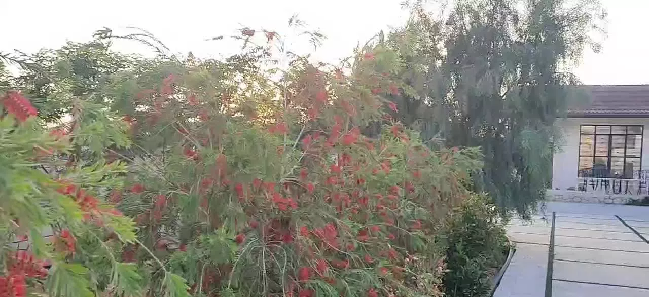 باغ شهری نشاط