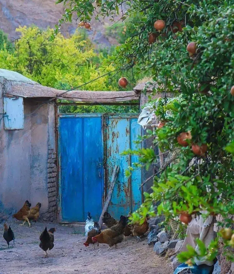 خانه ویلایی