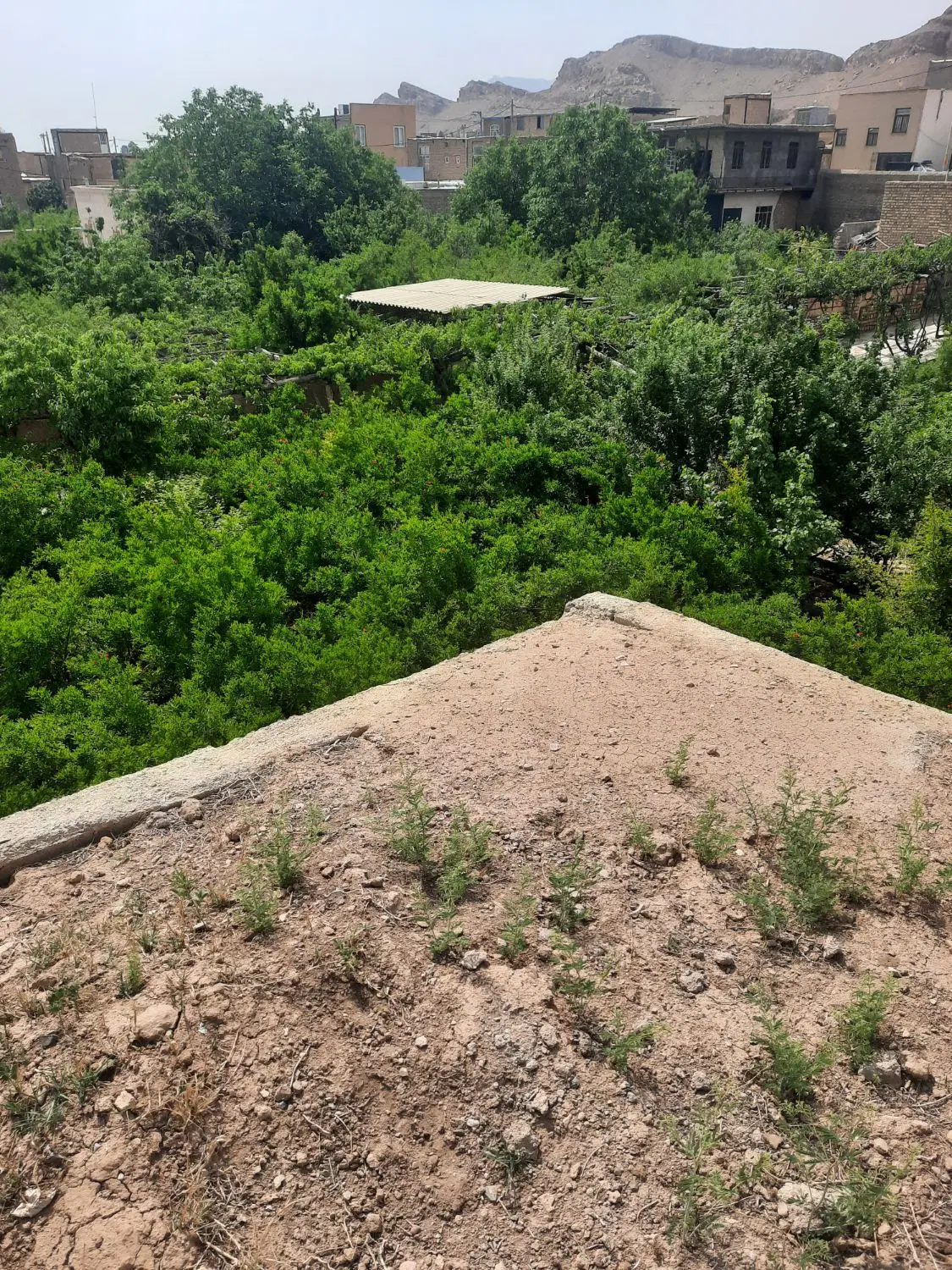 زمین جهت ساخت و ساز
