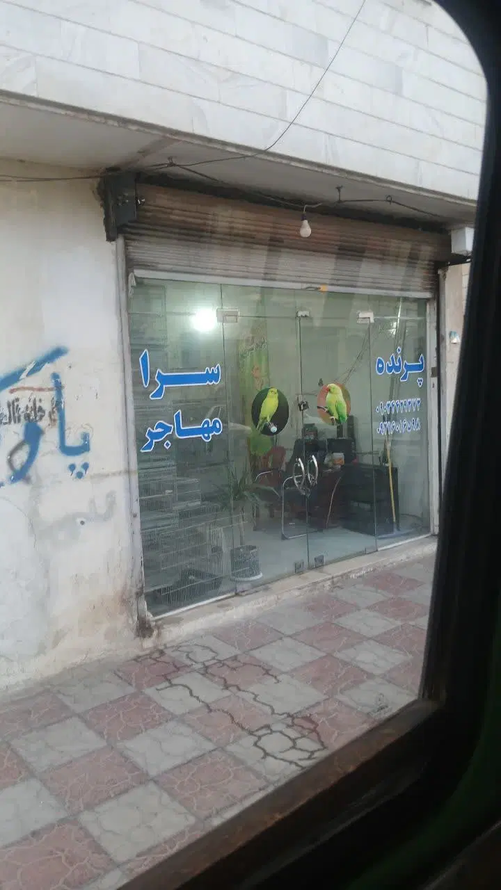 مغازه