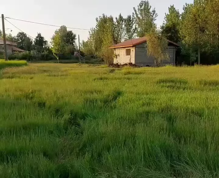 زمین 277متربرکوچه عمومی