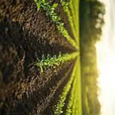 فروش زمین زیر قیمت مناسب سرمایه گذاری